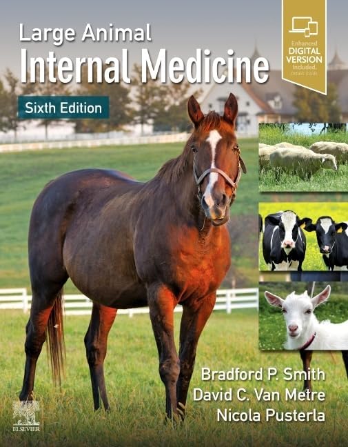 Small Animal Internal Medicine: 9780323048811: Medicine & Health